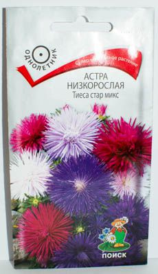 Астра низкоросл. Тиеса стар микс 0,2гр.Поиск