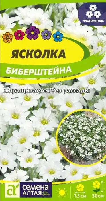 Ясколка Биберштейна 