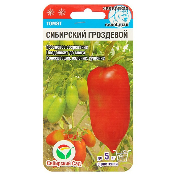 Томат Сибирский гроздевой 20шт.СибСад