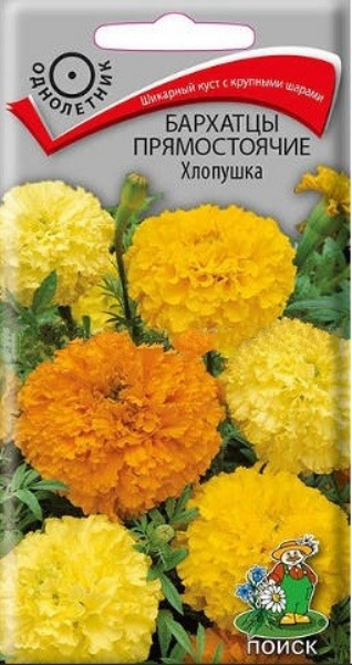 Бархатцы прямостоячие Хлопушка 0,4гр. Поиск
